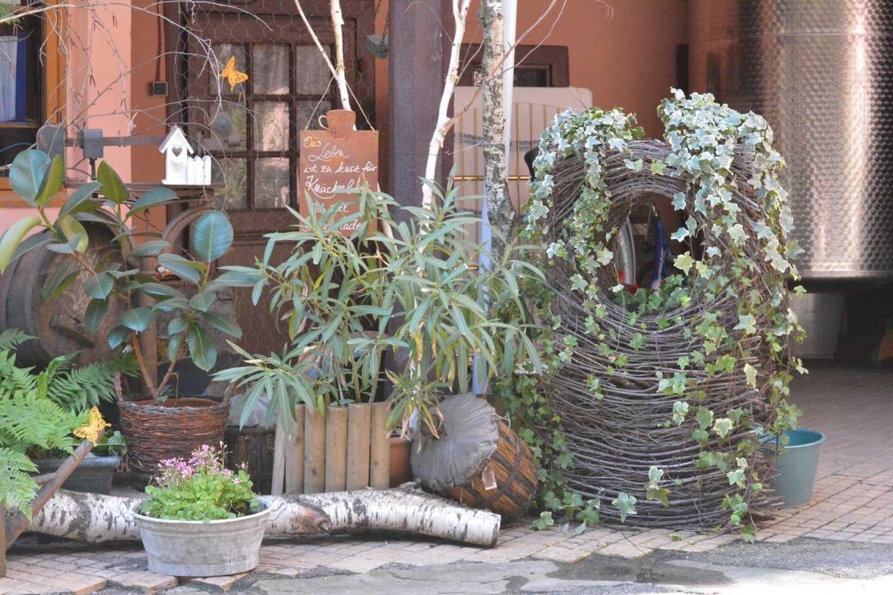 Chez Cecile Bed And Breakfast Chez Le Vigneron Colmar Ngoại thất bức ảnh