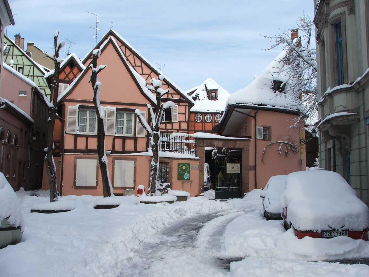 Chez Cecile Bed And Breakfast Chez Le Vigneron Colmar Ngoại thất bức ảnh