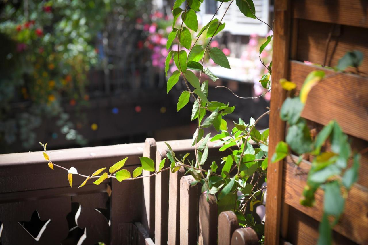 Chez Cecile Bed And Breakfast Chez Le Vigneron Colmar Ngoại thất bức ảnh